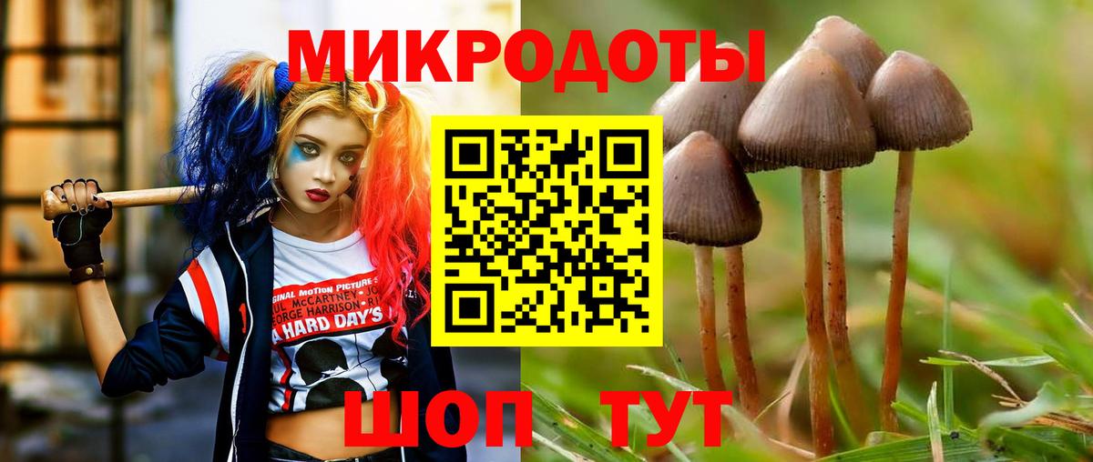 Галлюциногенные грибы MAGIC MUSHROOMS  Вход с VPN  Мичуринск 
