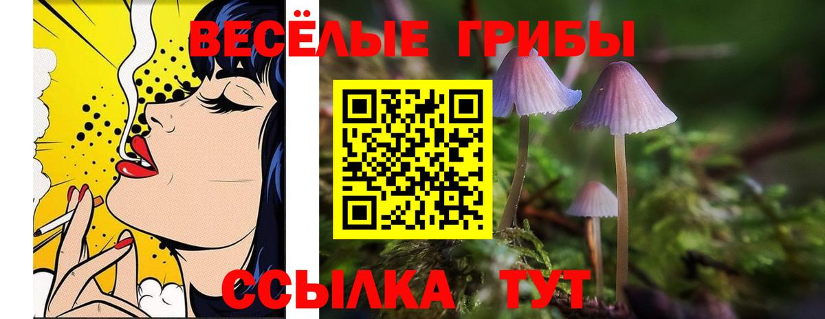 Галлюциногенные грибы прущие грибы Мичуринск